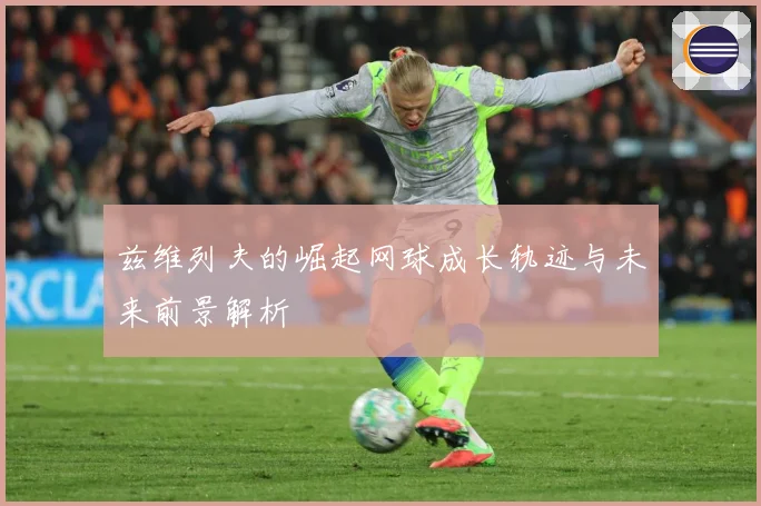 兹维列夫的崛起网球成长轨迹与未来前景解析